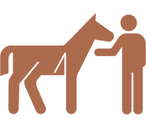 horse harmony