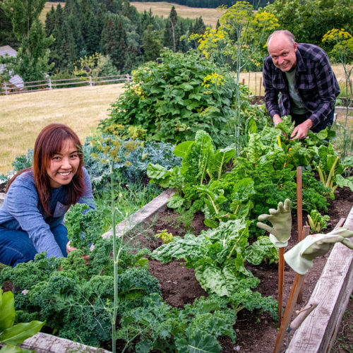 Farm-to-Table dining at our all-inclusive resort in British Columbia