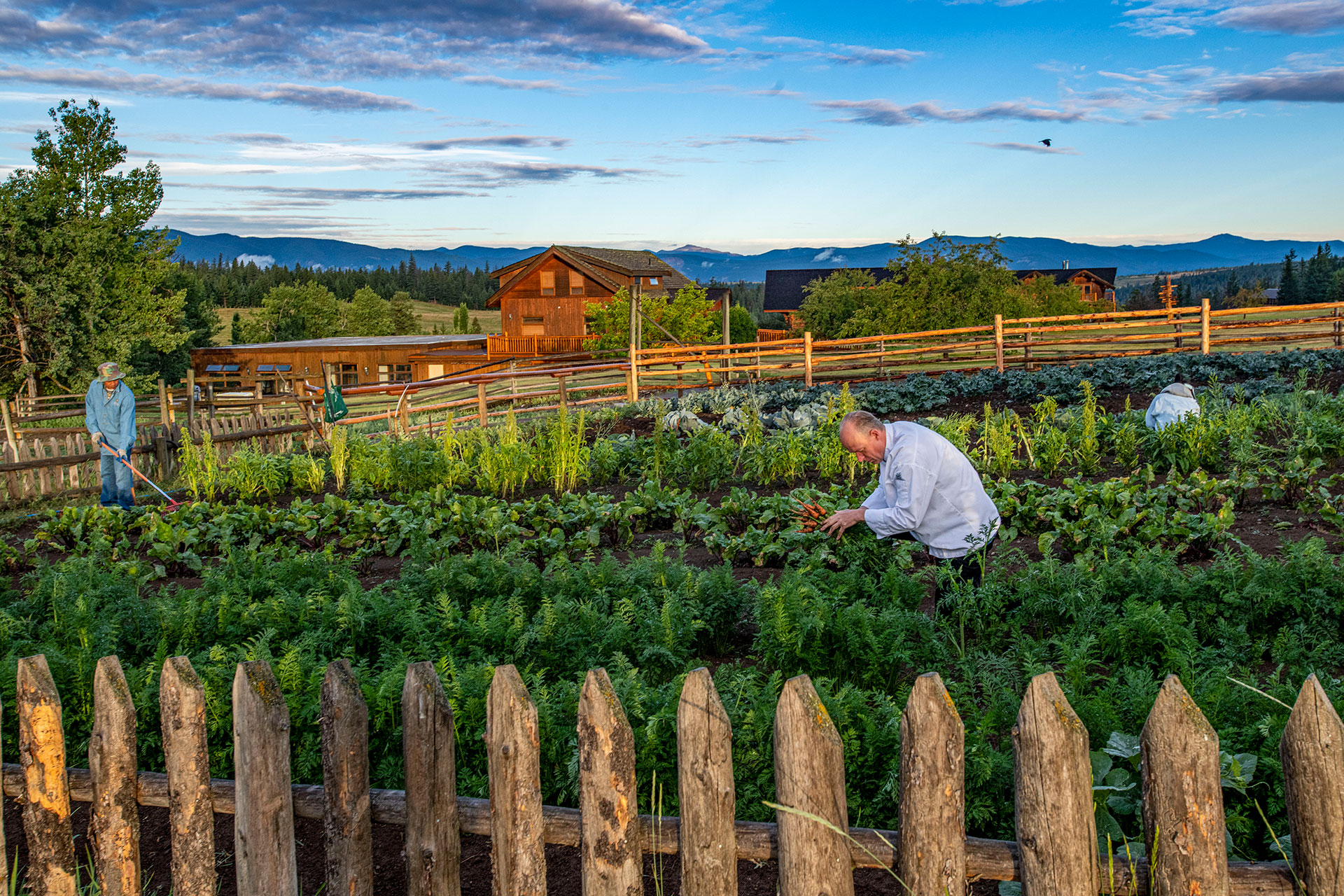 Farm Fresh and Delicious