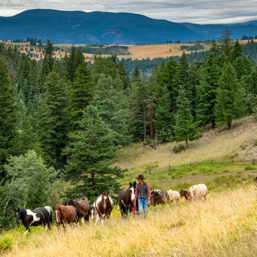 Ranch Adventures in Beautiful British Columbia