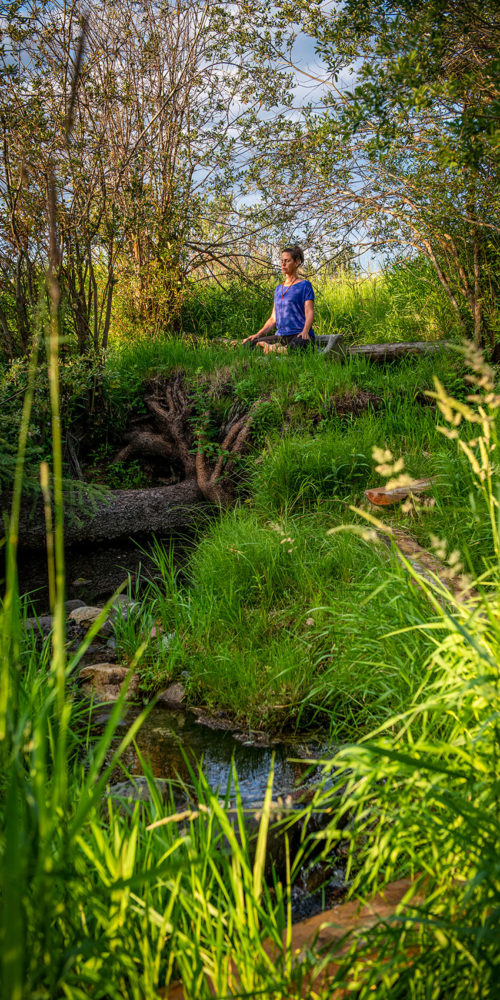 meditation in nature