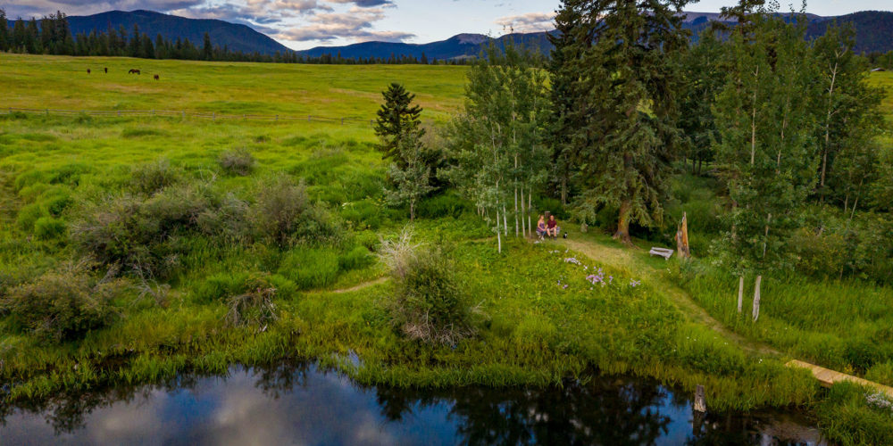 reconnect with each other in Echo Valley