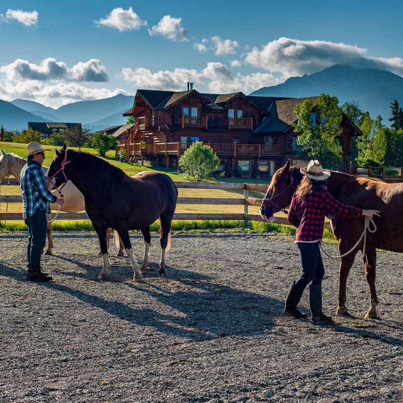 horsemanship