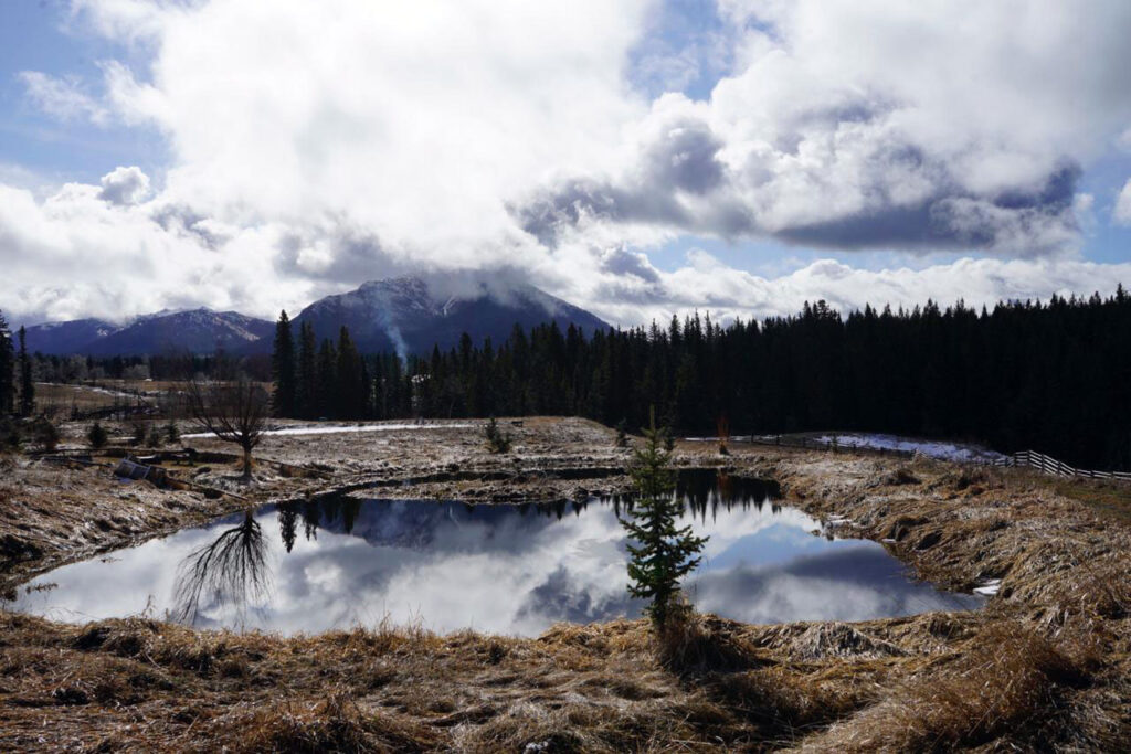 Nature reawakening in the Spring in Echo Valley