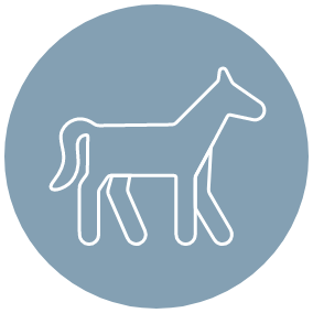 Horsemanship Icon